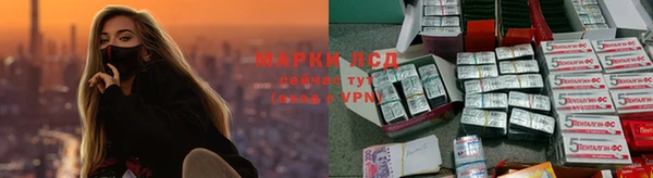 амф Зеленокумск