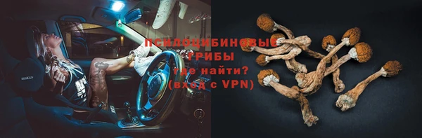амф Зеленокумск