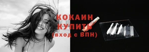 амф Зеленокумск