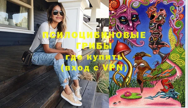 амф Зеленокумск