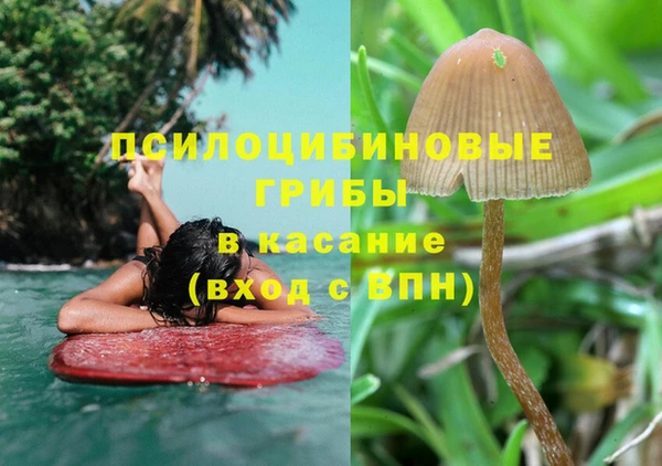 амф Зеленокумск