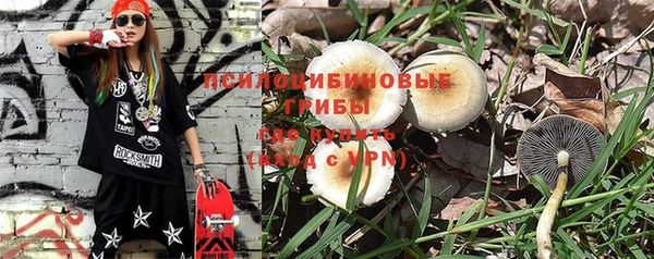амф Зеленокумск