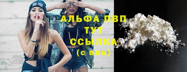 амф Зеленокумск